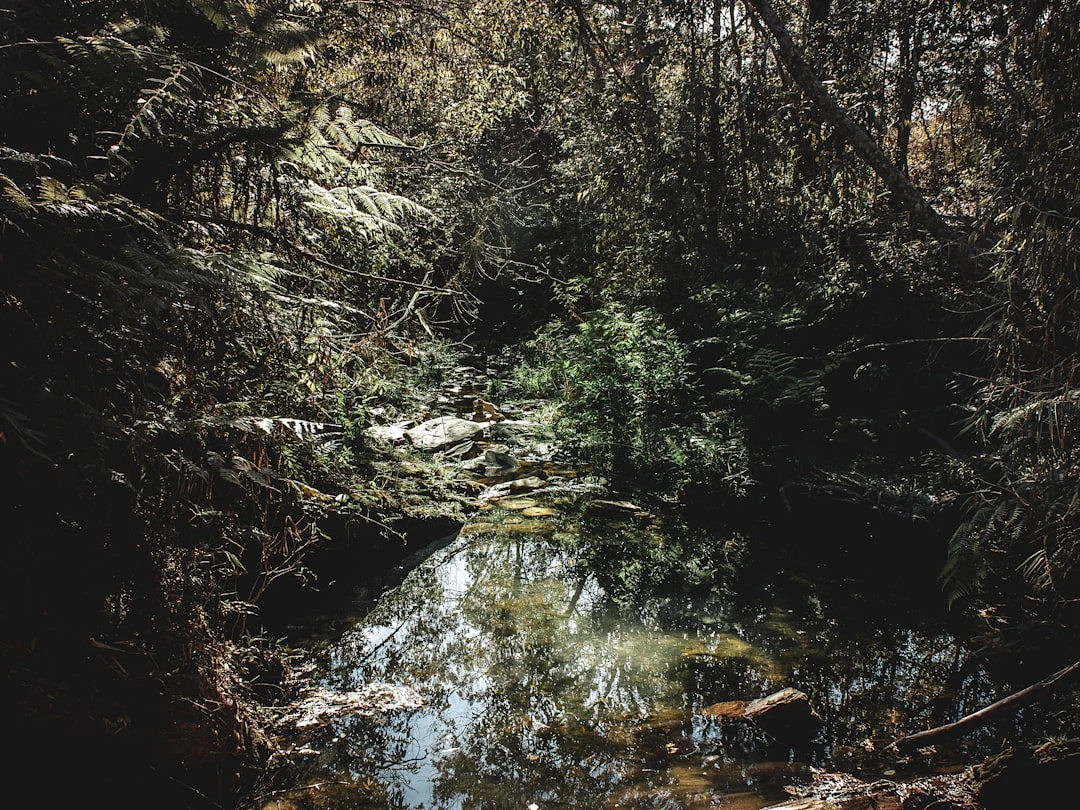 Relajación